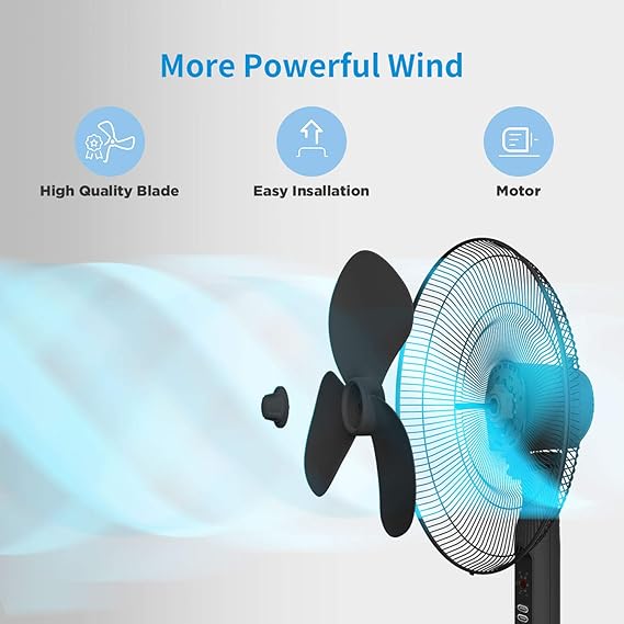 Pedestal Fan - Zambeel