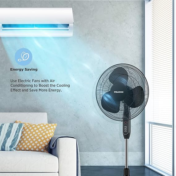 Pedestal Fan - Zambeel