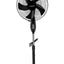 Pedestal Fan With 5 Leaf Blades - Zambeel