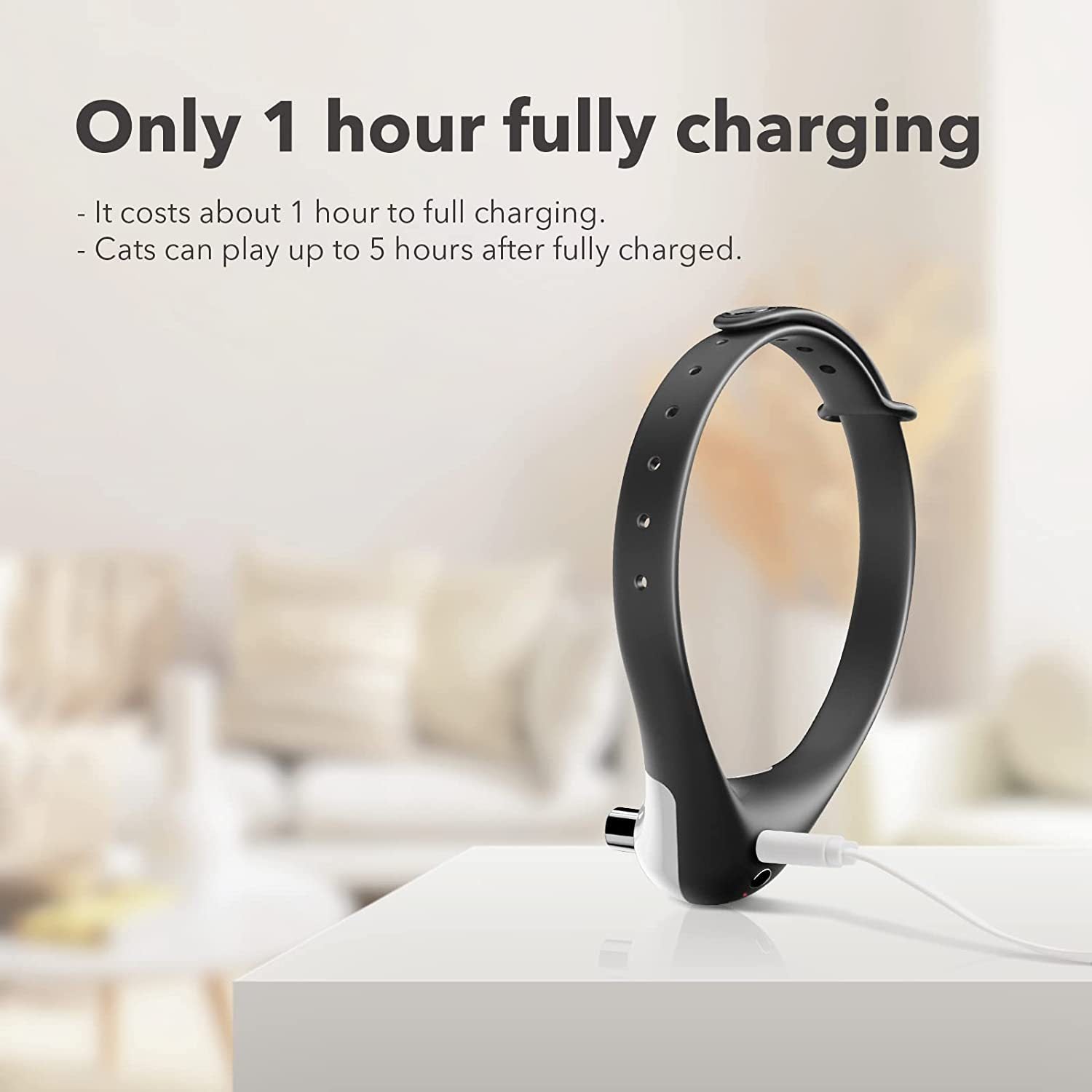 Pet Cat Toy Laser Collar - Zambeel