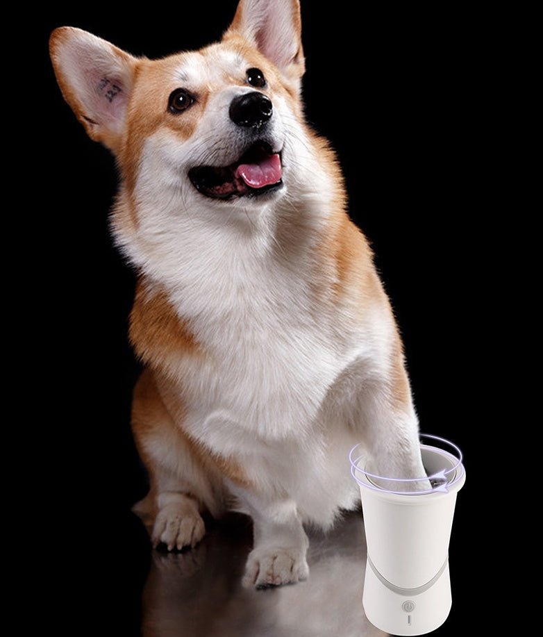 Pet Electric Foot Washer - Zambeel