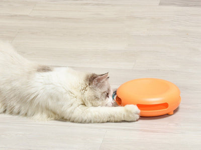 Pet Funny Cat Turntable, Cat Snacks, Food Utensils, Sound Toys - Zambeel