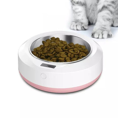 Pet Portable Automatic Feeder - Zambeel