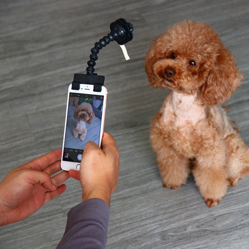 Pet Selfie Stick Pet Supplies Toys Pet Selfie Artifact - Zambeel