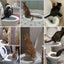 Pet Supplies Cat Toilet Trainer - Zambeel