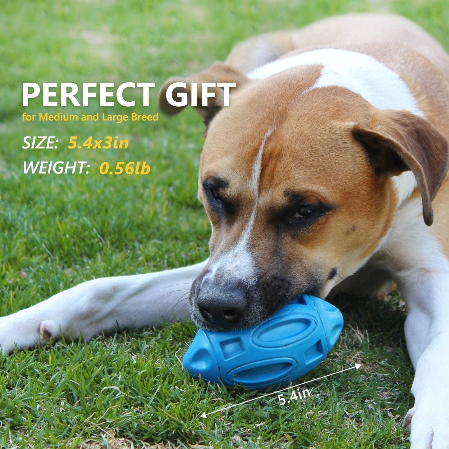 Pet Supplies Dog Toys Rubber Sounding Rugby Wear - Resistant Bite - Resistant Sounding Dog Ball - Zambeel