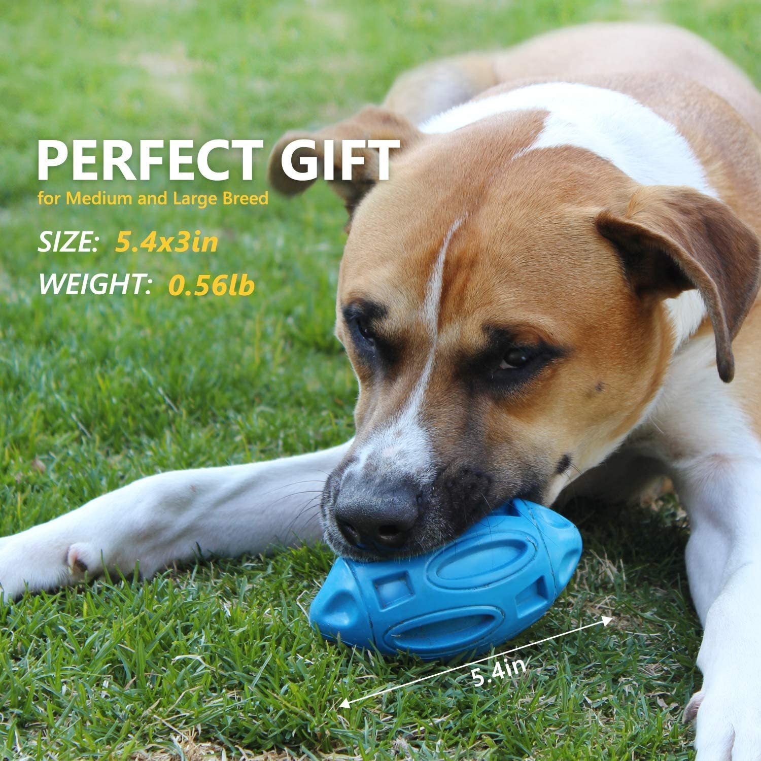 Pet Supplies Dog Toys Rubber Sounding Rugby Wear - Resistant Bite - Resistant Sounding Dog Ball - Zambeel