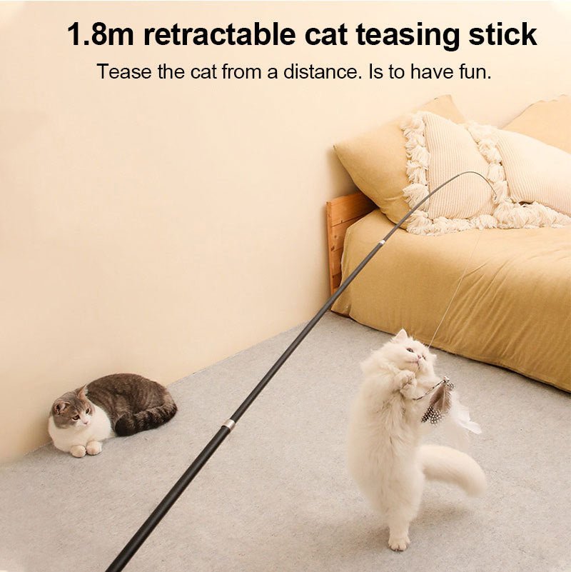 Pet Toy Cat - teasing Stick Extendable 180cm Rod Feather Replacement Head Adjustable Extendable Cat - teasing Stick Fishing Cat Toy - Zambeel