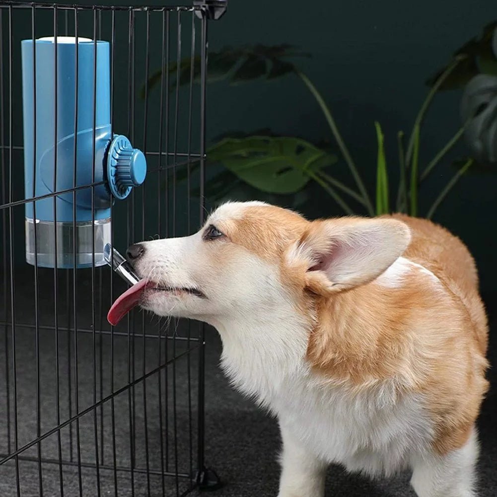 Pet Water Drinker Ball Feeder Hanging Water Drinker Cage Pet Water Cup - Zambeel