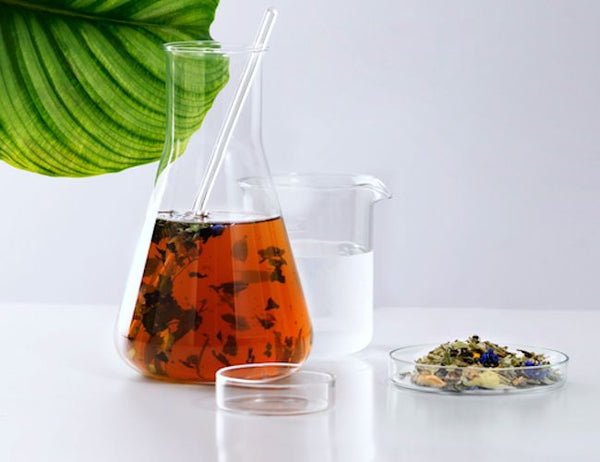 Phyto - Volume Shampoo - Zambeel