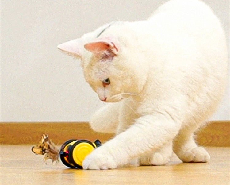 Plastic Electric Smart Cat Toy - Zambeel