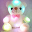 Plush Toy Bear Colorful Glowing Teddy Bear - Zambeel