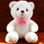 Plush Toy Bear Colorful Glowing Teddy Bear - Zambeel