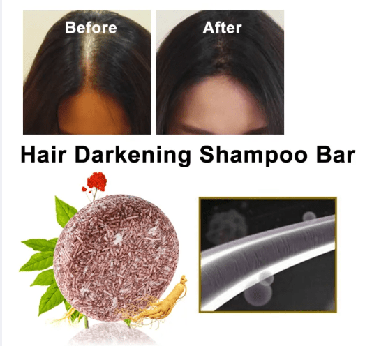 Polugonum Multiflorum - Plant Shampoobar (Original) - Zambeel