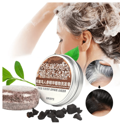 Polugonum Multiflorum - Plant Shampoobar (Original) - Zambeel