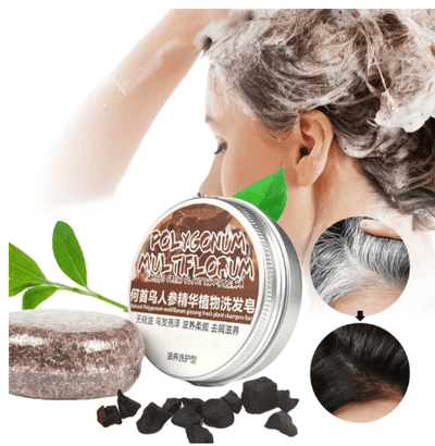 Polugonum Multiflorum - Plant Shampoobar (Original) - Zambeel