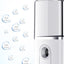 Portable Facial Nano Mist Humidifier - Zambeel