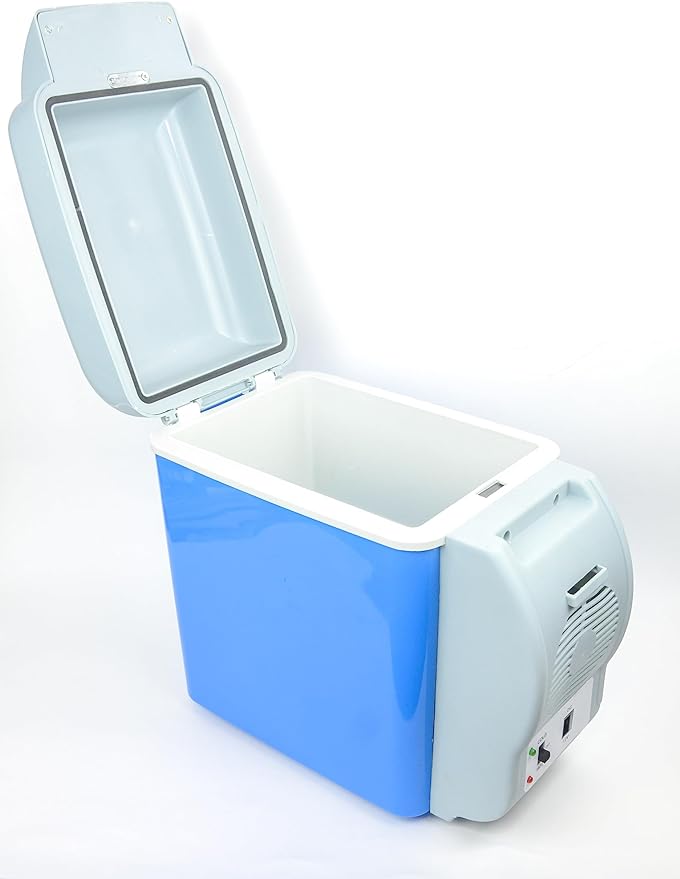 Portable Mini Car Refrigerator - Zambeel
