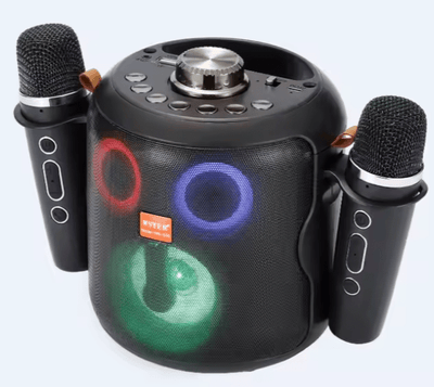 Portable Party Bass Speaker - Zambeel