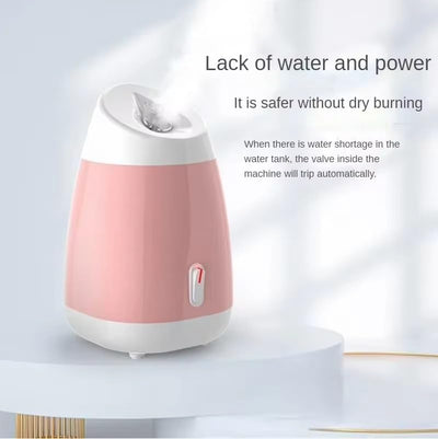 Professional Facial Steamer - Zambeel