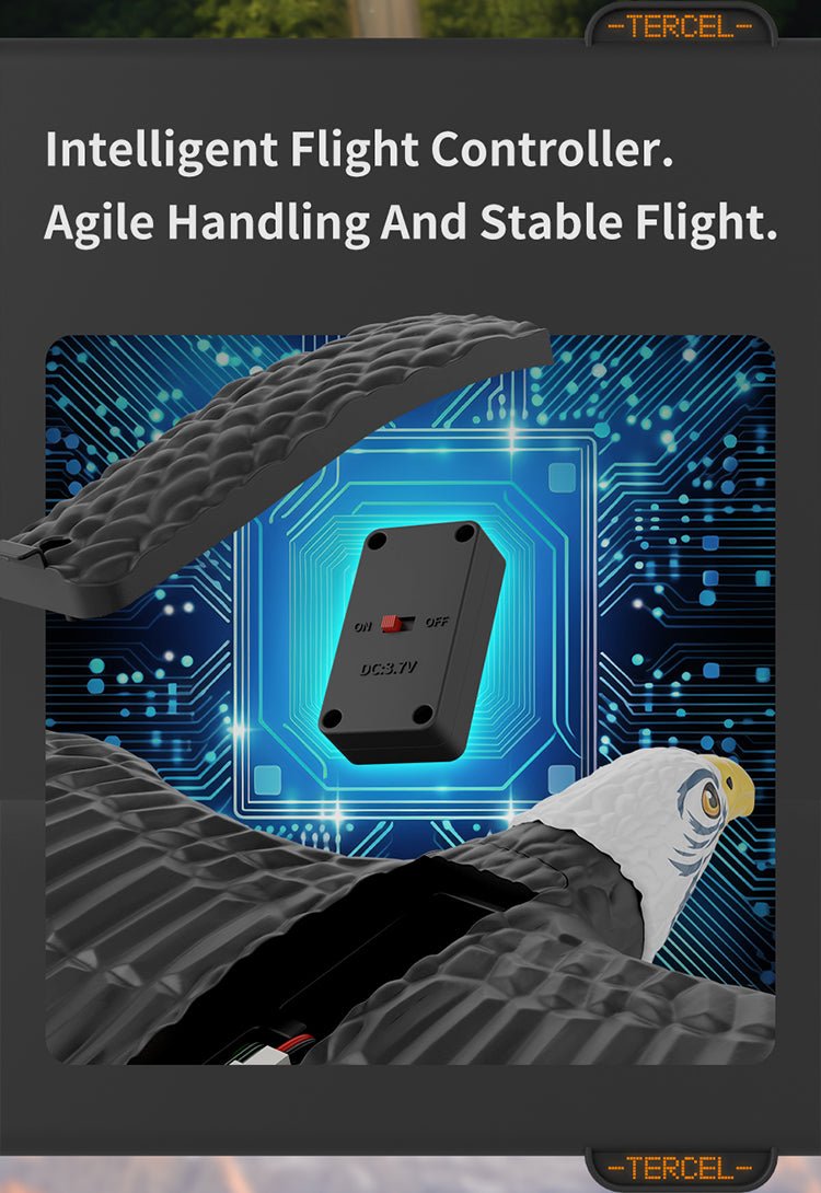 RC Eagle For Kids - Zambeel