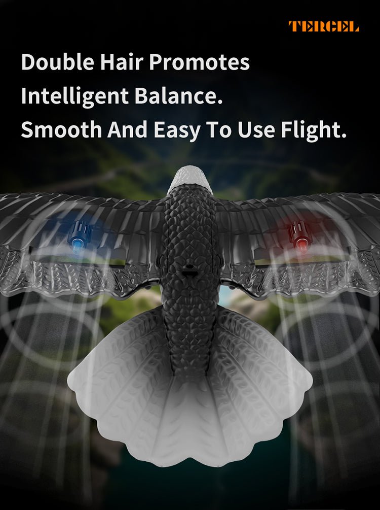 RC Eagle For Kids - Zambeel