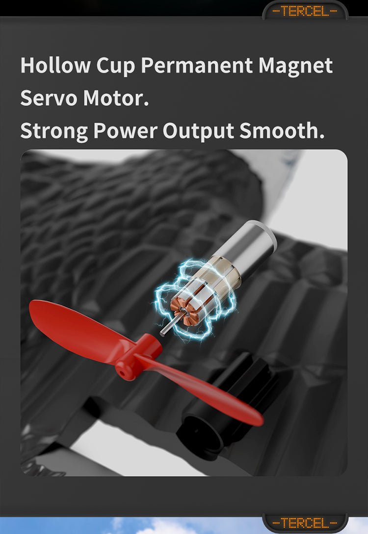 RC Eagle For Kids - Zambeel