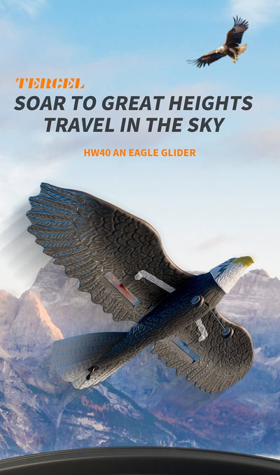 RC Eagle For Kids - Zambeel