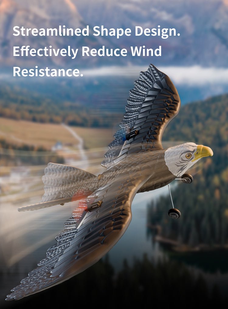 RC Eagle For Kids - Zambeel