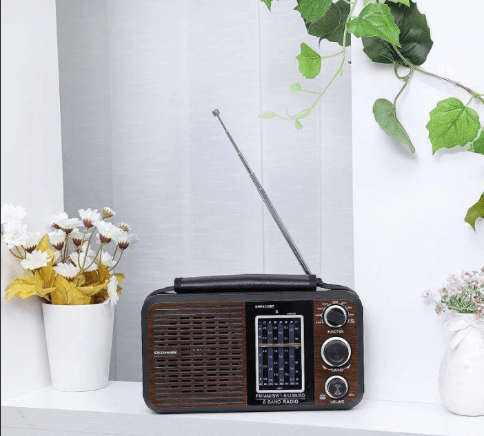 Rechargeable Radio - Zambeel