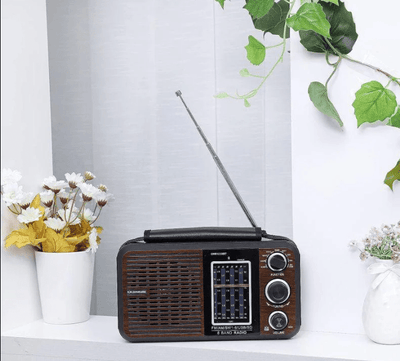 Rechargeable Radio - Zambeel
