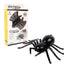 Remote Control Car Spider Electronic Pet - Zambeel