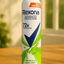 Rexona - 72+ Deodorant (Original) - Zambeel