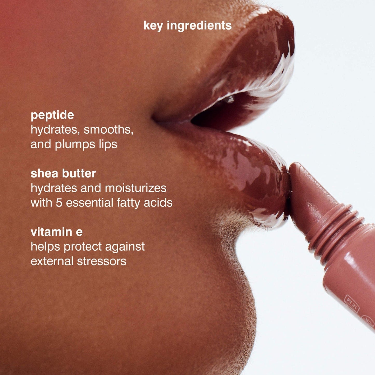 Rhode - Peptide Lip Tint - Zambeel