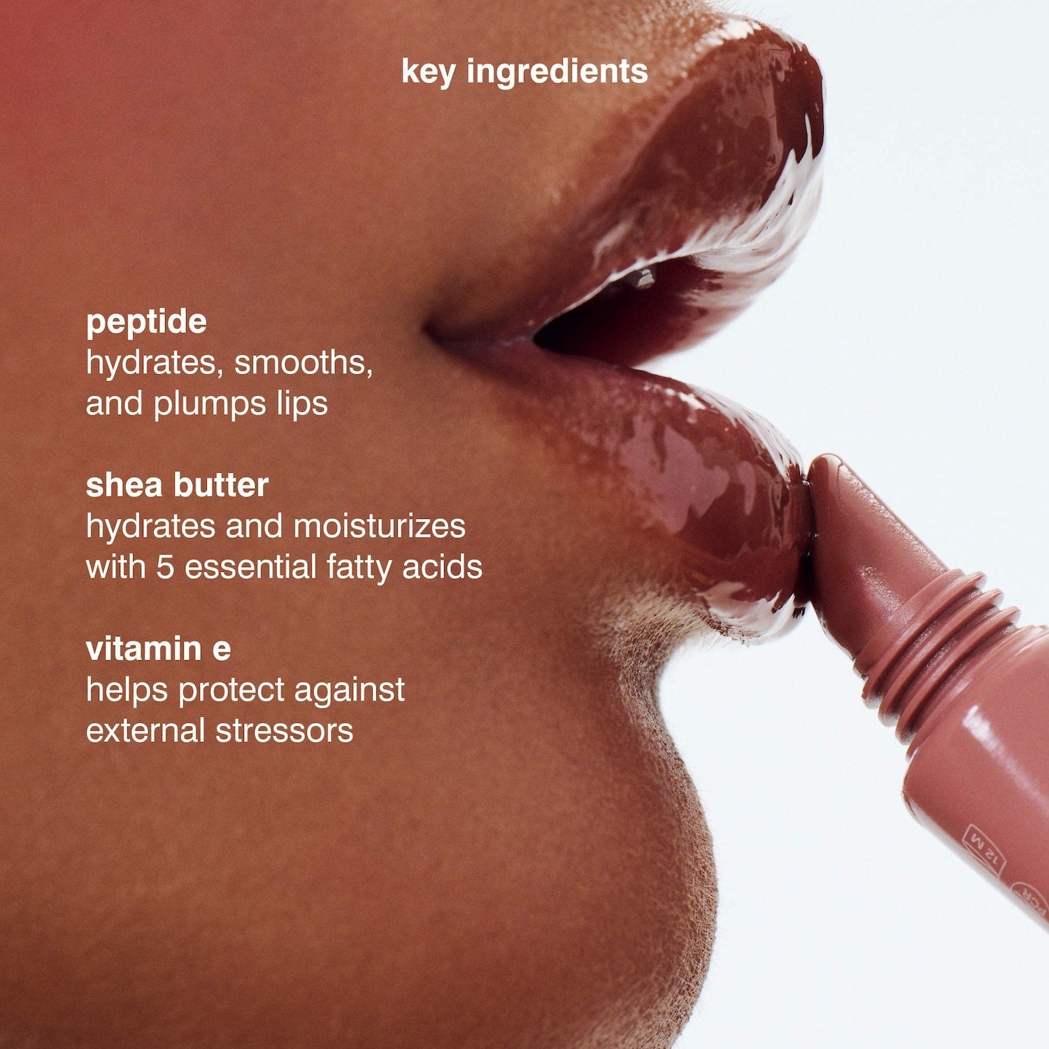 Rhode - Peptide Lip Tint - Zambeel