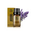 Rose Essential Oil 10ml - Zambeel