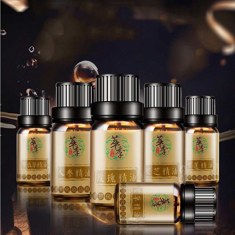 Rose Essential Oil 10ml - Zambeel