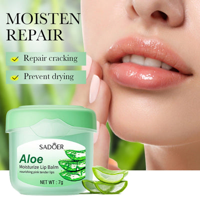 Sadoer - Aloe Moisturize Lip Balm - Zambeel