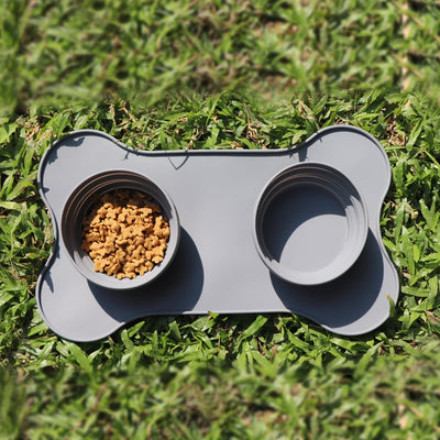 Silicone Pet Bowl - Zambeel