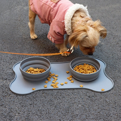 Silicone Pet Bowl - Zambeel
