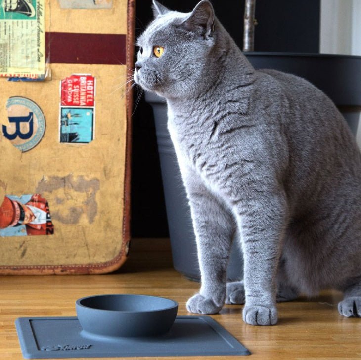 Silicone Pet Supplies Strong Suction Anti - Splash Anti - Sprinkler Silicone Pet Bowl Pet Plate - Zambeel