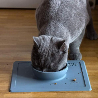 Silicone Pet Supplies Strong Suction Anti - Splash Anti - Sprinkler Silicone Pet Bowl Pet Plate - Zambeel