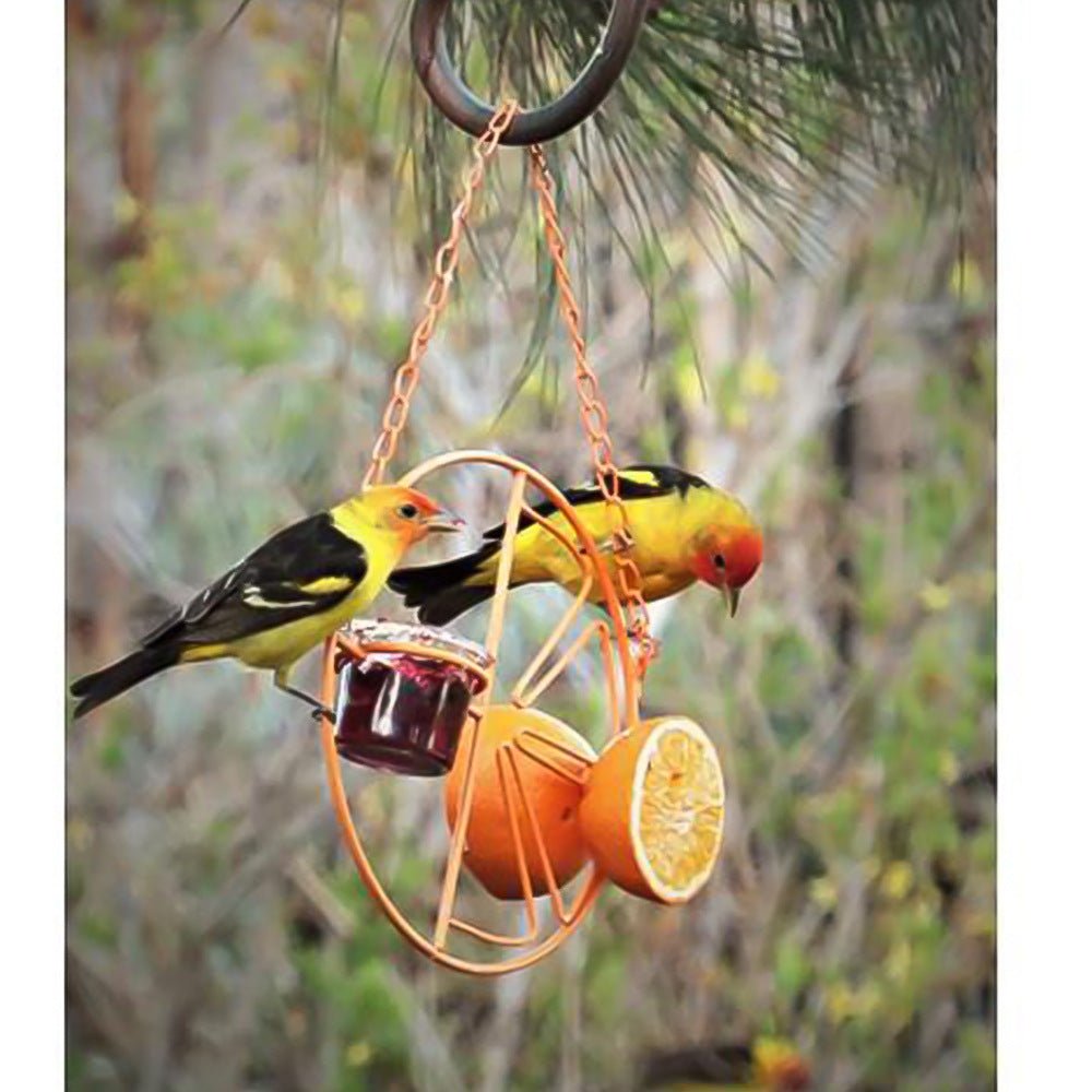 Simple Outdoor Bird Feeding And Water Feeding - Zambeel