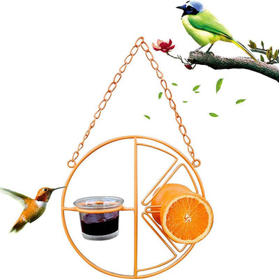 Simple Outdoor Bird Feeding And Water Feeding - Zambeel