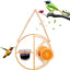 Simple Outdoor Bird Feeding And Water Feeding - Zambeel