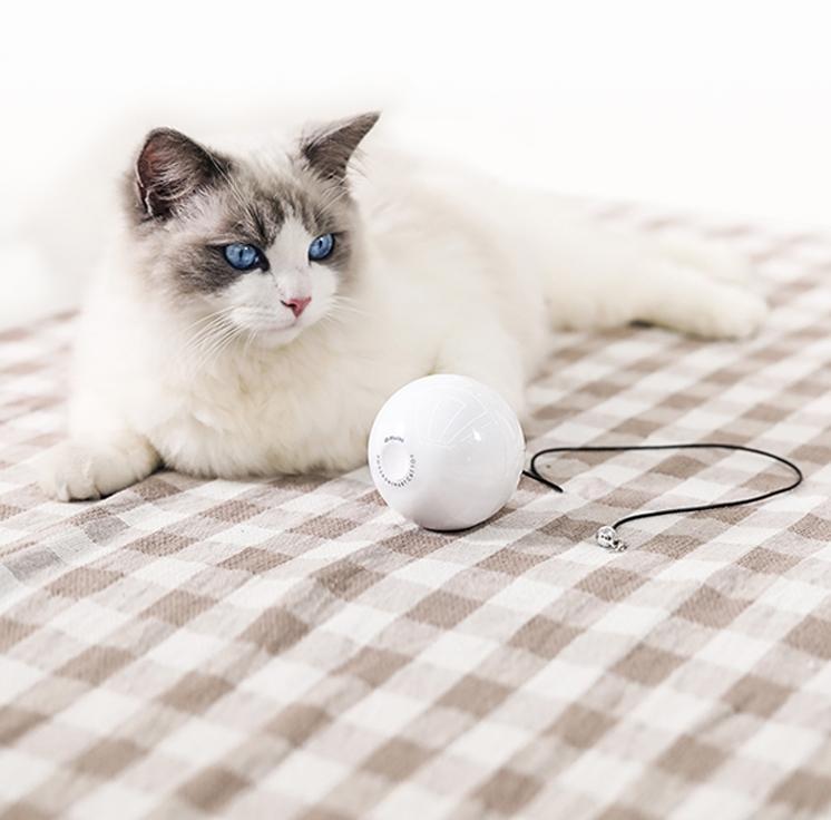 Smart Automatic Interactive Cat Toy Ball - Zambeel