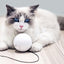 Smart Automatic Interactive Cat Toy Ball - Zambeel