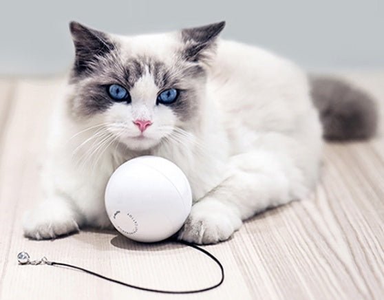 Smart Automatic Interactive Cat Toy Ball - Zambeel
