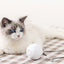 Smart Automatic Interactive Cat Toy Ball - Zambeel