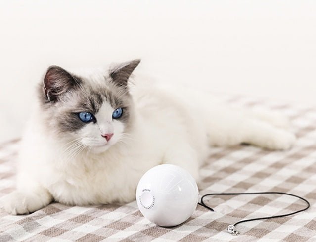 Smart Automatic Interactive Cat Toy Ball - Zambeel